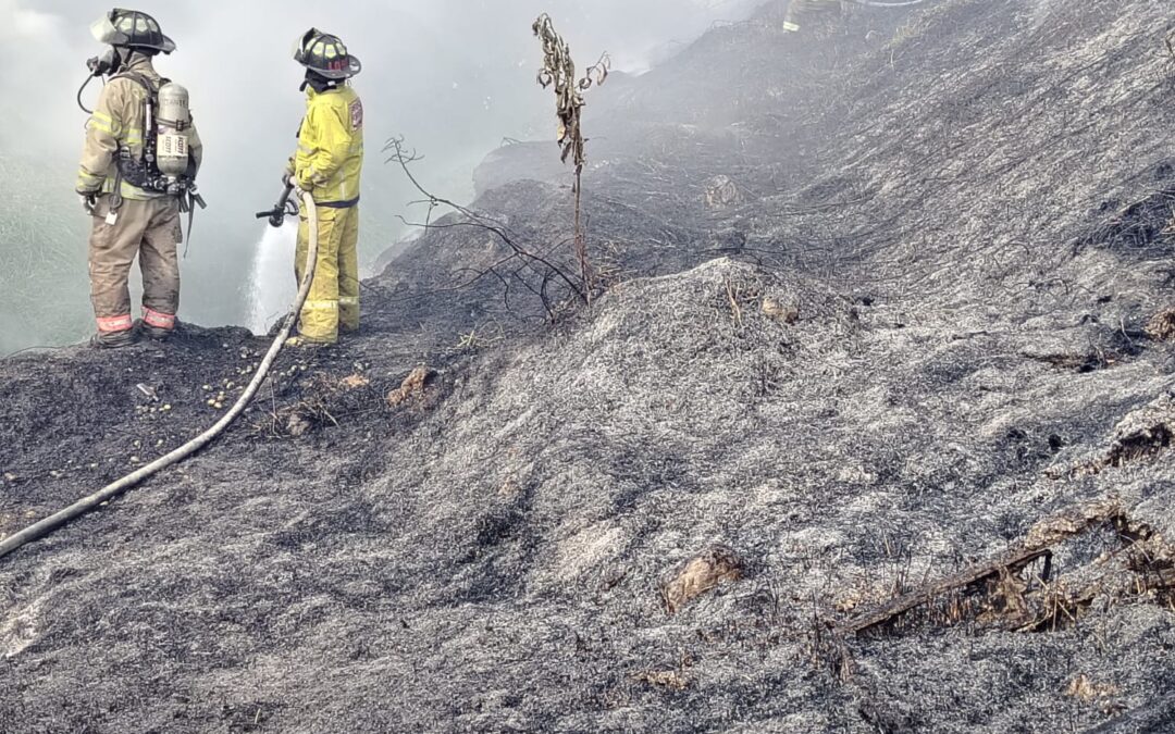 Infierno Verde en la Capital: Bomberos Batallan Contra Voraz Incendio Forestal que Amenaza Barrios en Zona 12