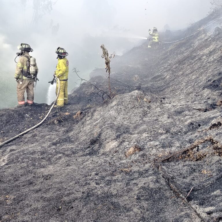 Infierno Verde en la Capital: Bomberos Batallan Contra Voraz Incendio Forestal que Amenaza Barrios en Zona 12
