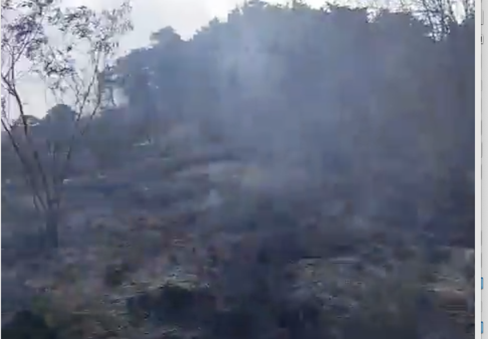 Incendio Devora Área Verde en Santa Lucía Los Ocotes: Bomberos Combaten para Evitar que Alcance Zonas Residenciales